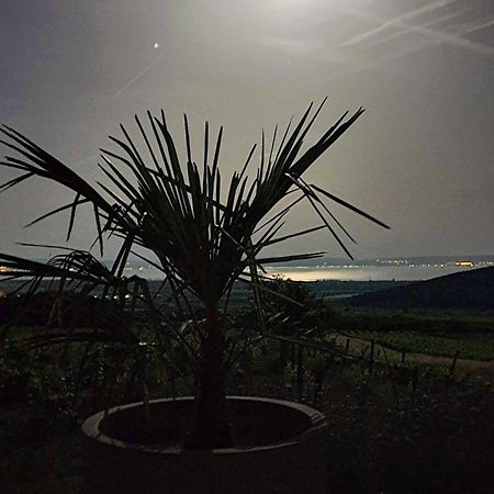 Panorama, Balaton Villa เดอร์กิชเช ภายนอก รูปภาพ