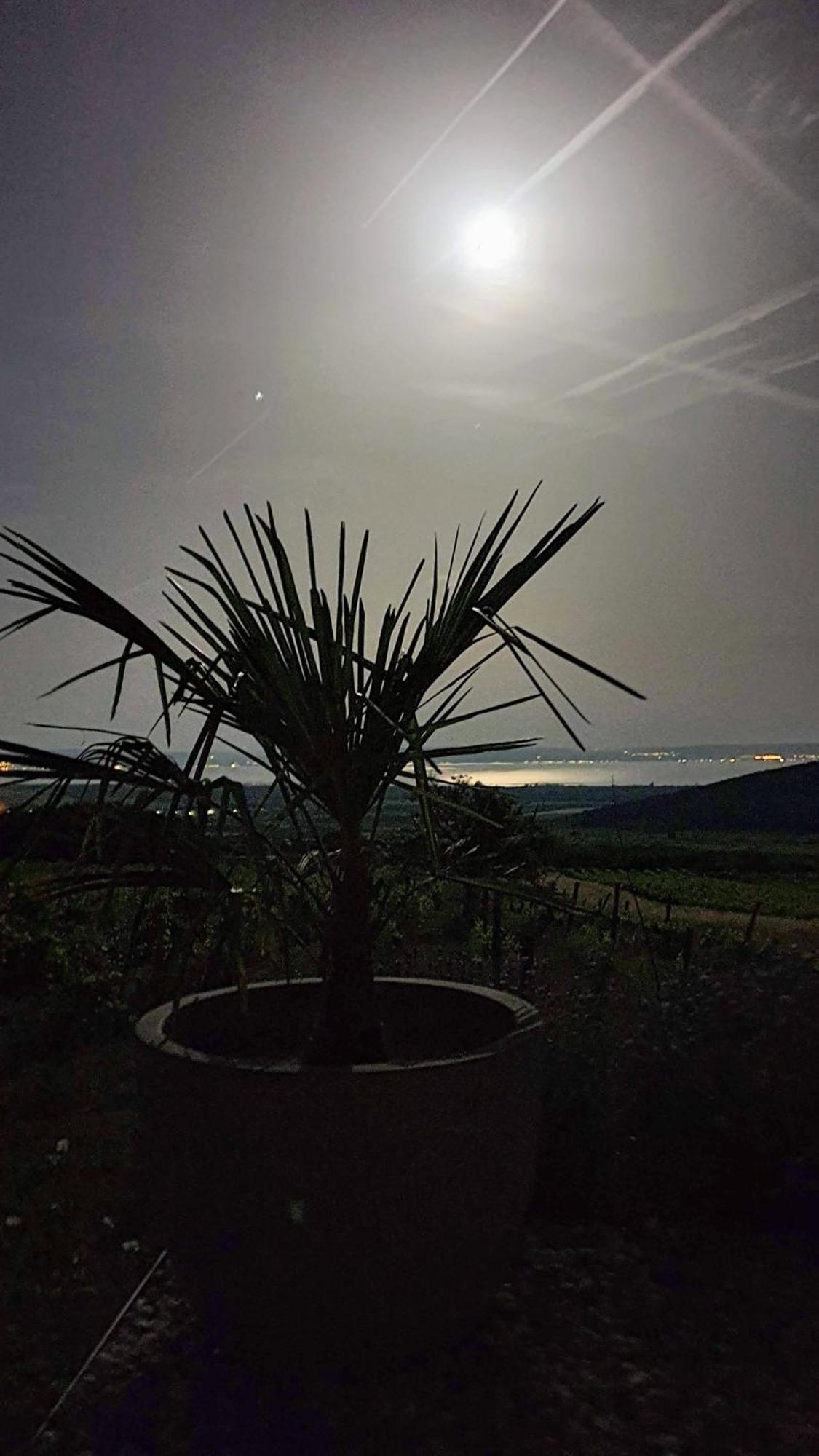 Panorama, Balaton Villa เดอร์กิชเช ภายนอก รูปภาพ